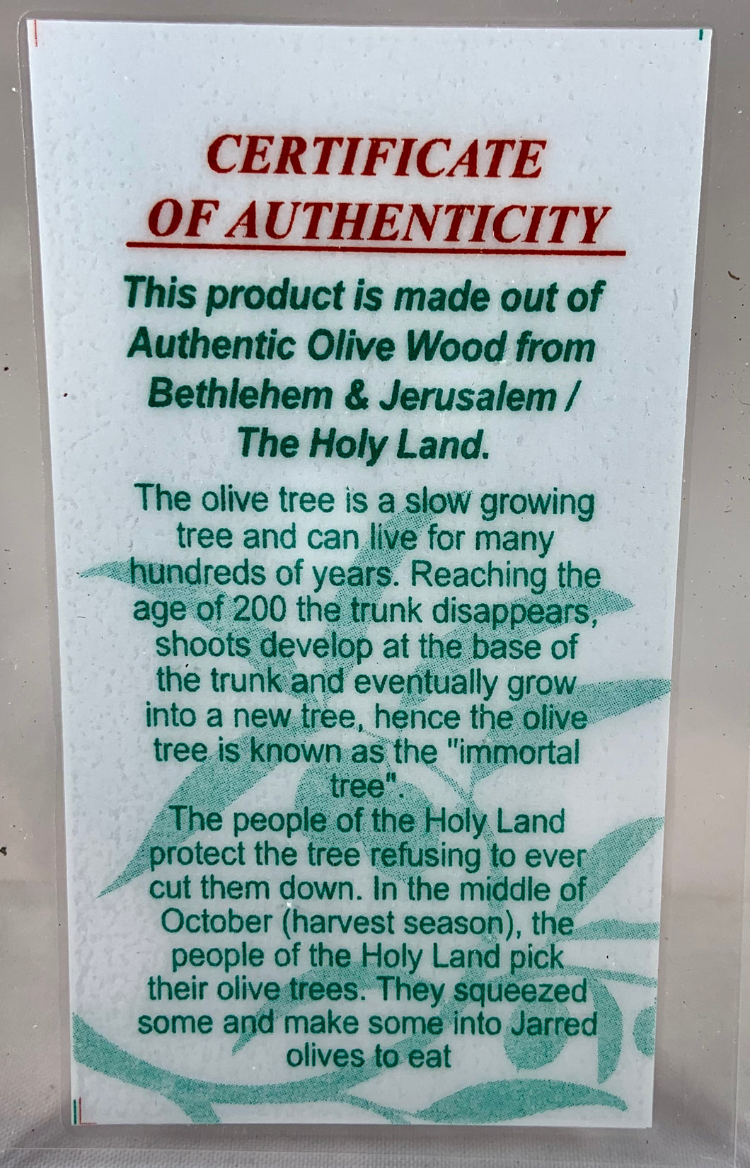 Holy Land Olive Wood